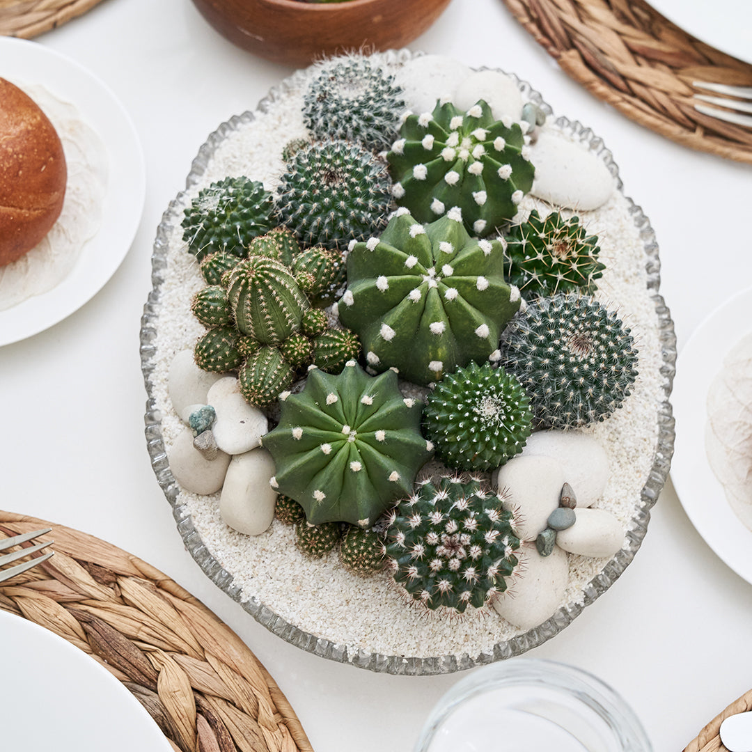 Vintage Clear Glass White - Green Garden (One-of-a-Kind)
