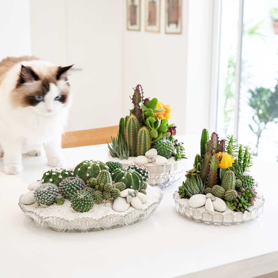 Vintage Clear Glass White - Green Garden (One-of-a-Kind) Plant the Future