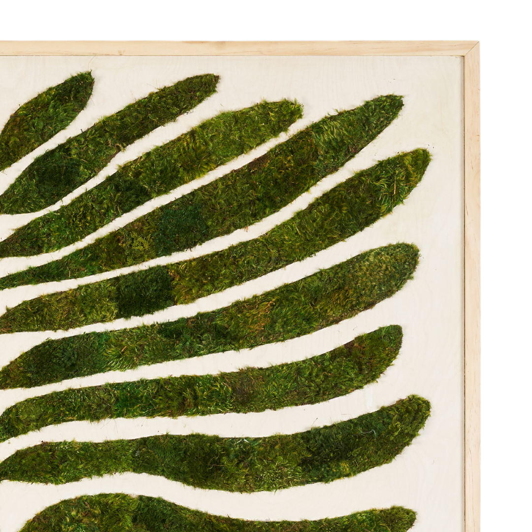 Moss Art - Botanic No. 2 (47"H  x 47" W) - Deplazium
