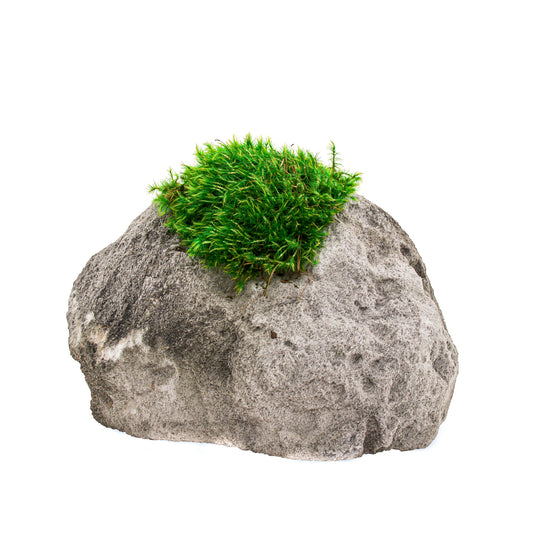 Feather Rock Small - Moss (8" H x 8" D)
