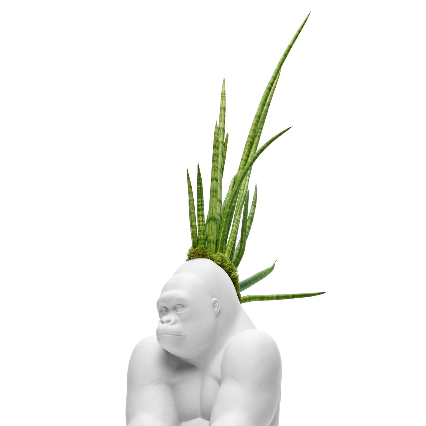 Lladró - Gorilla with Sansevieria Cylindrica