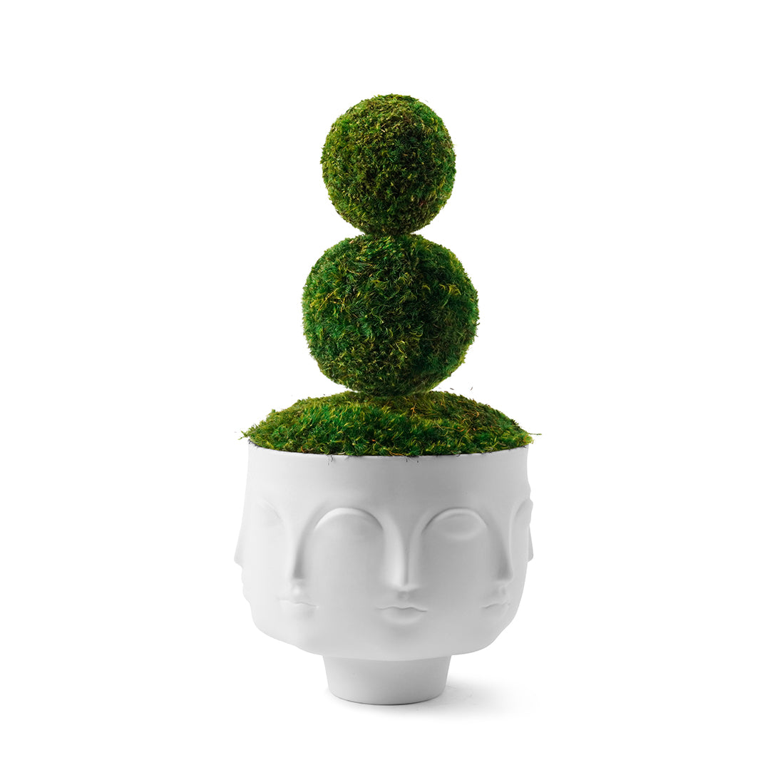 Jonathan Adler - Dora Maar Bowl Moss