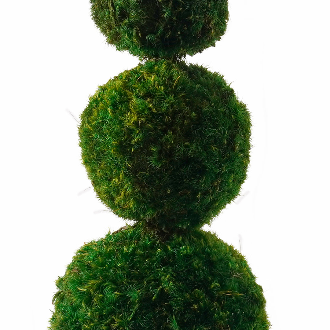 Jonathan Adler - Mr. & Mrs. Moss