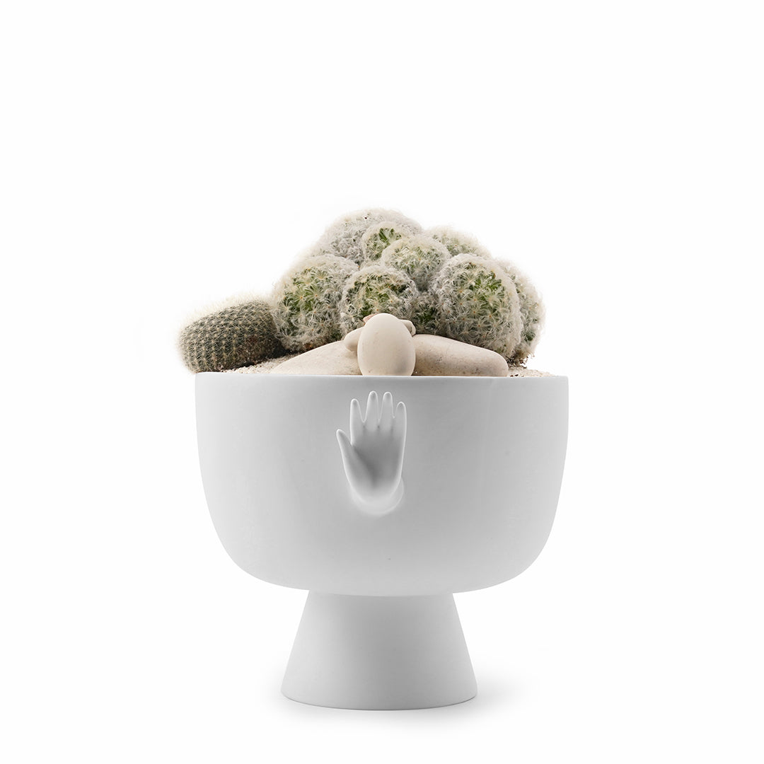 Jonathan Adler - Eve Pedestal Bowl Cacti