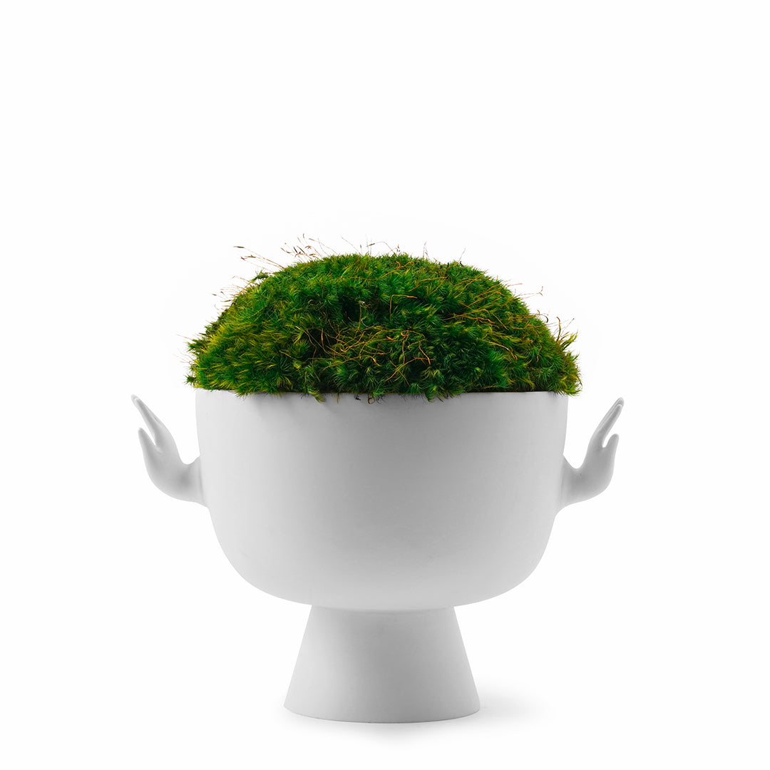 Jonathan Adler - Eve Pedestal Bowl Moss