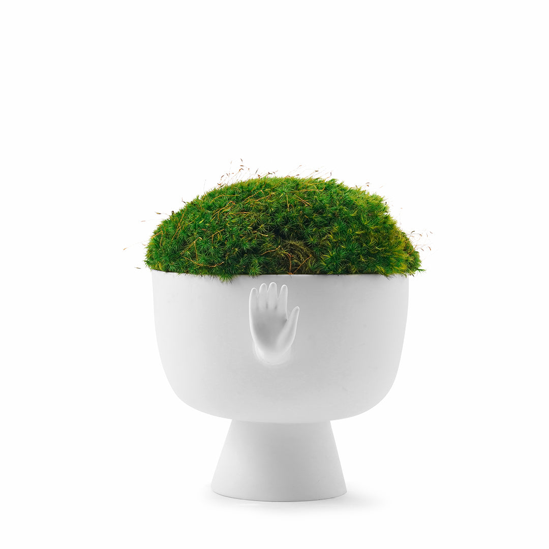 Jonathan Adler - Eve Pedestal Bowl Moss