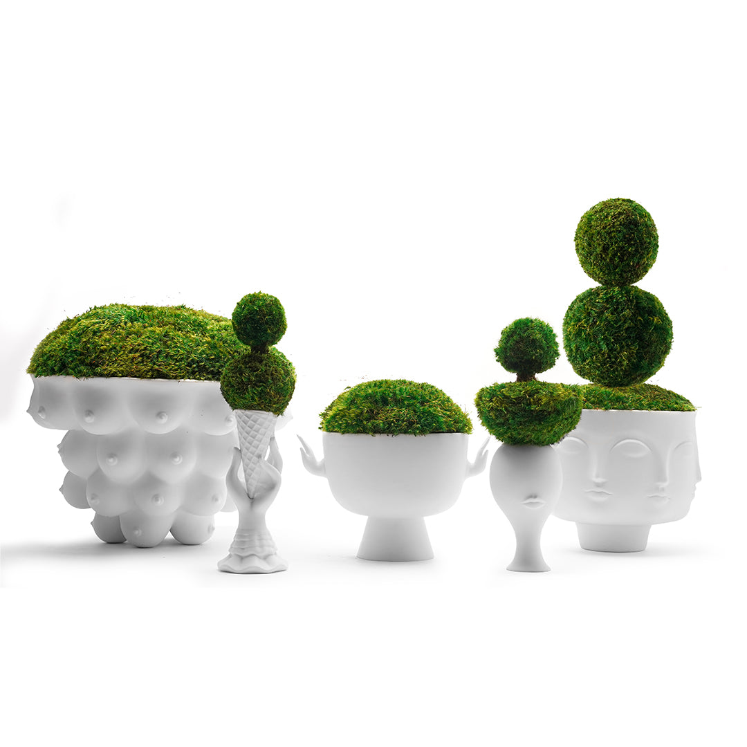 Jonathan Adler - Eve Pedestal Bowl Moss