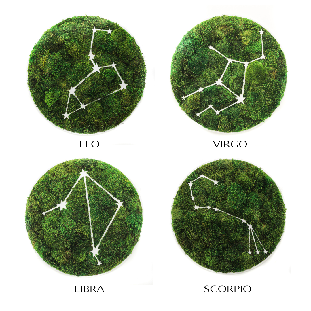 Zodiac Collection - Moss Constellations