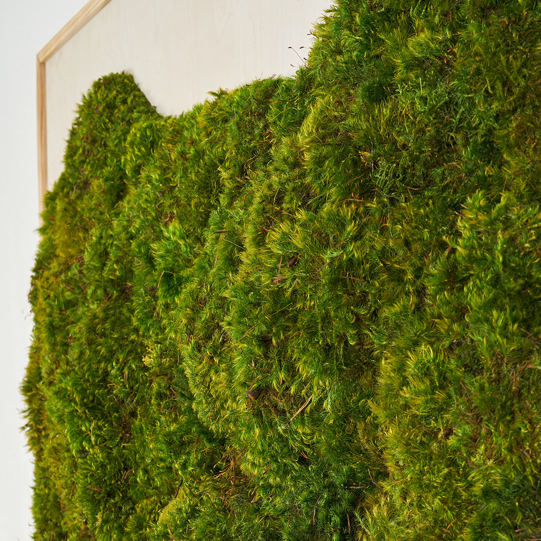 Moss Art - Abstract Series No. 030 (4' x 4')