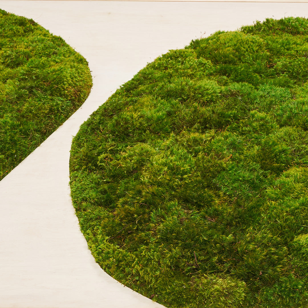 Moss Art - Abstract Series No. 032 (4' x 4')