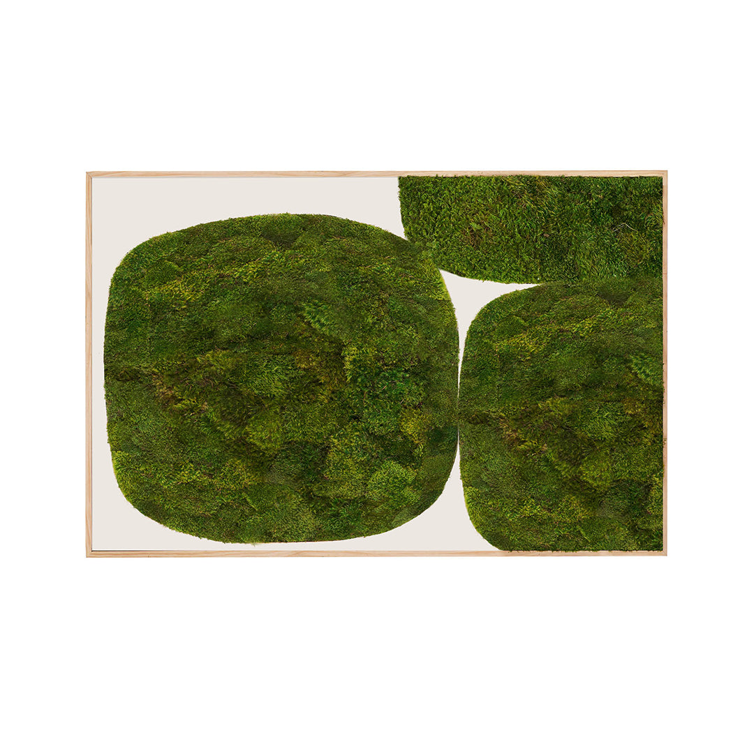 Moss Art - Abstract Series No. 026 (6' x 4') 