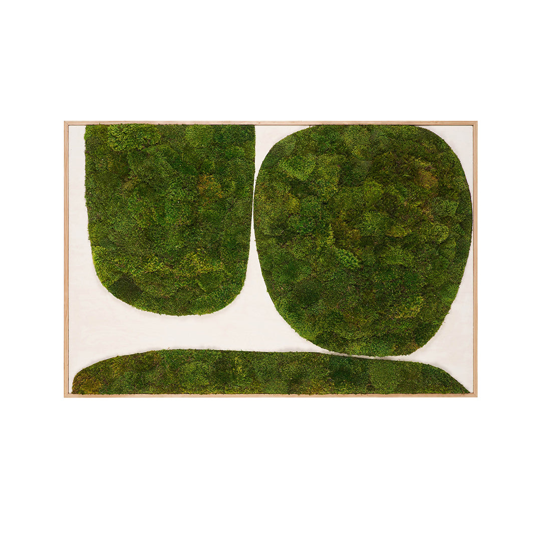 Moss Art - Abstract Series No. 019 (6' x 4') 