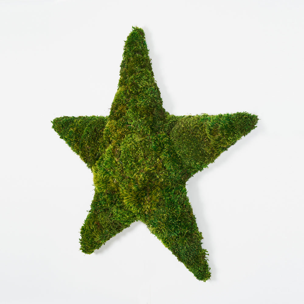 Moss Hollywood Star