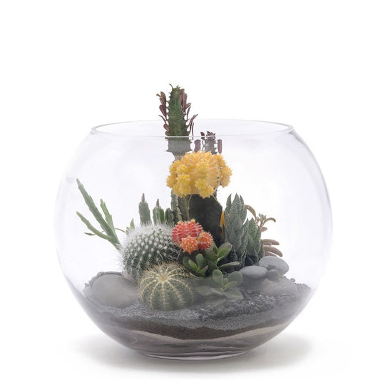 Fishbowl Terrarium - Black