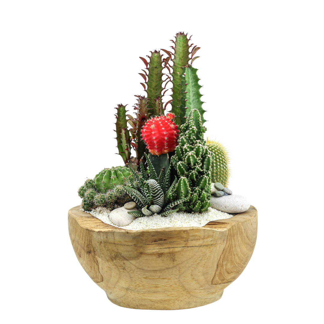 Natural Wood Bowl Mini - Garden