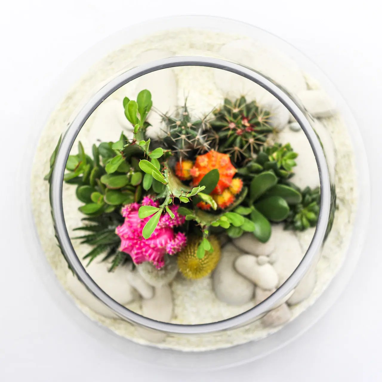 Fishbowl Terrarium - White