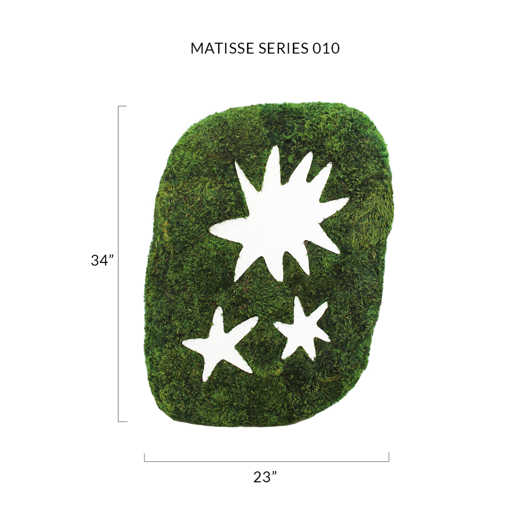 Matisse Moss Cut-Out Series No. 010