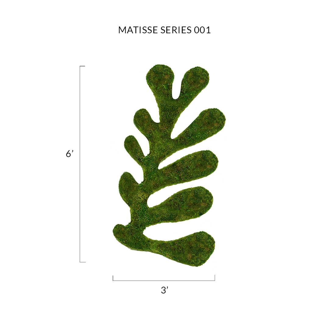 Matisse Moss Cut-Out Series No. 001