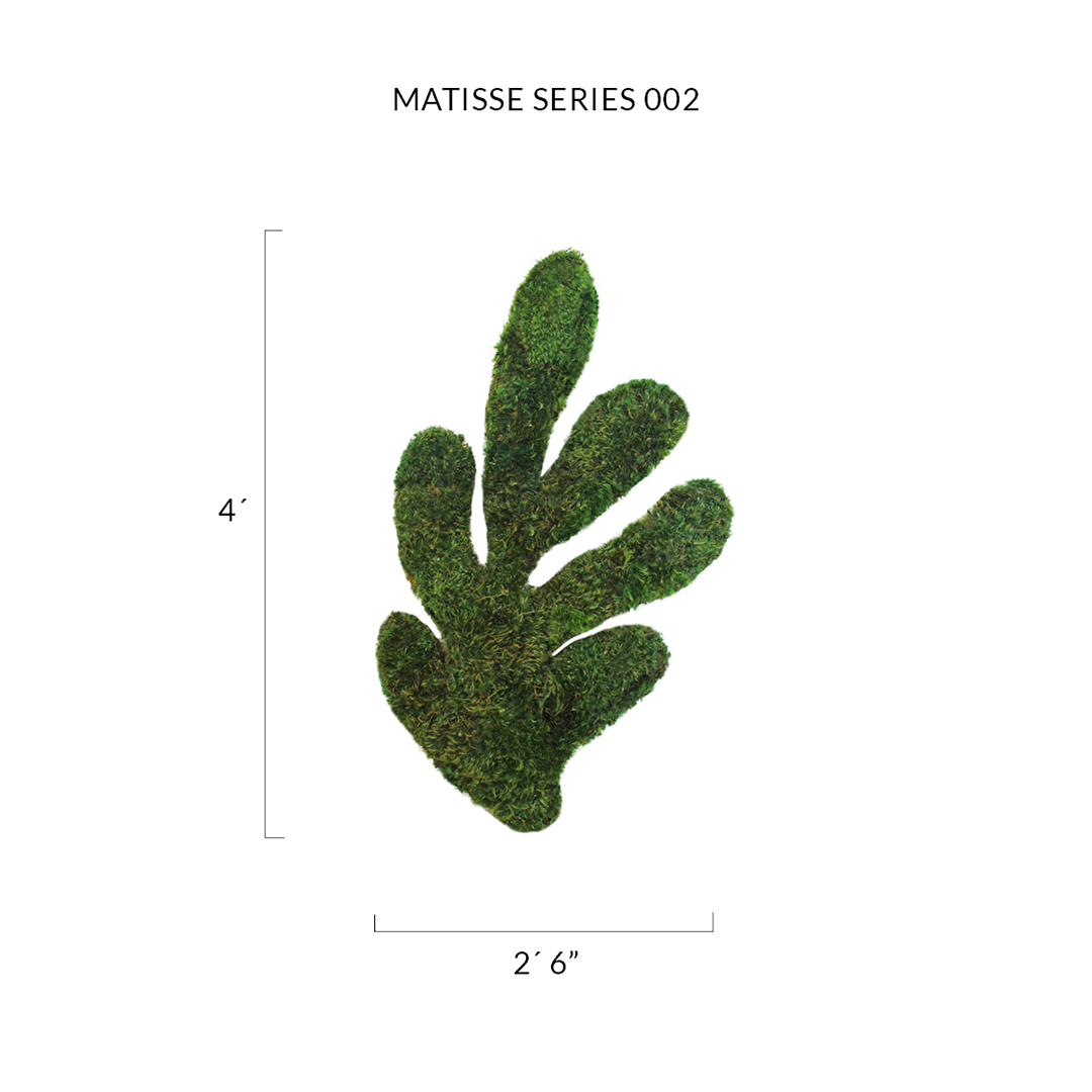 Matisse Moss Cut-Out Series No. 002