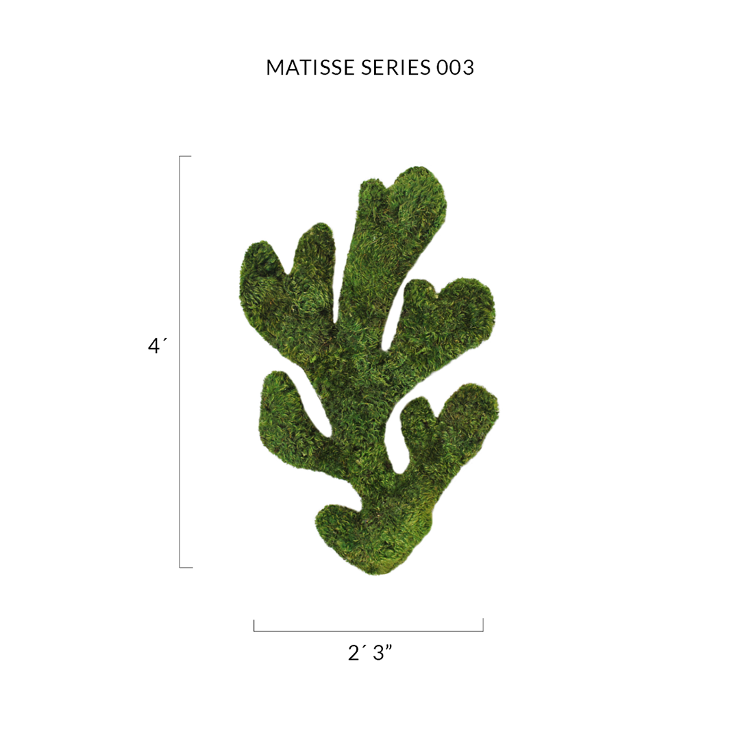 Matisse Moss Cut-Out Series No. 003