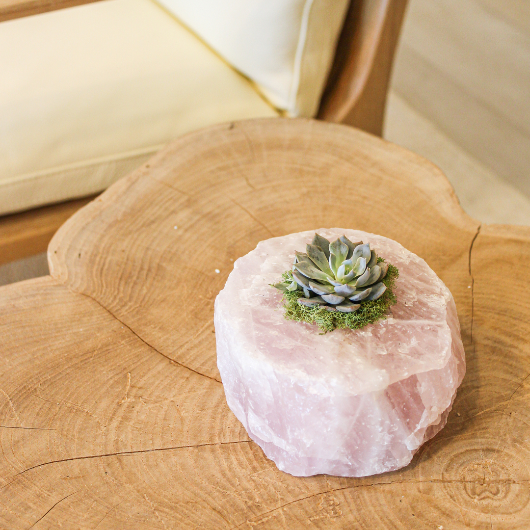Rose Quartz with Succulent (5" H x 5" W)