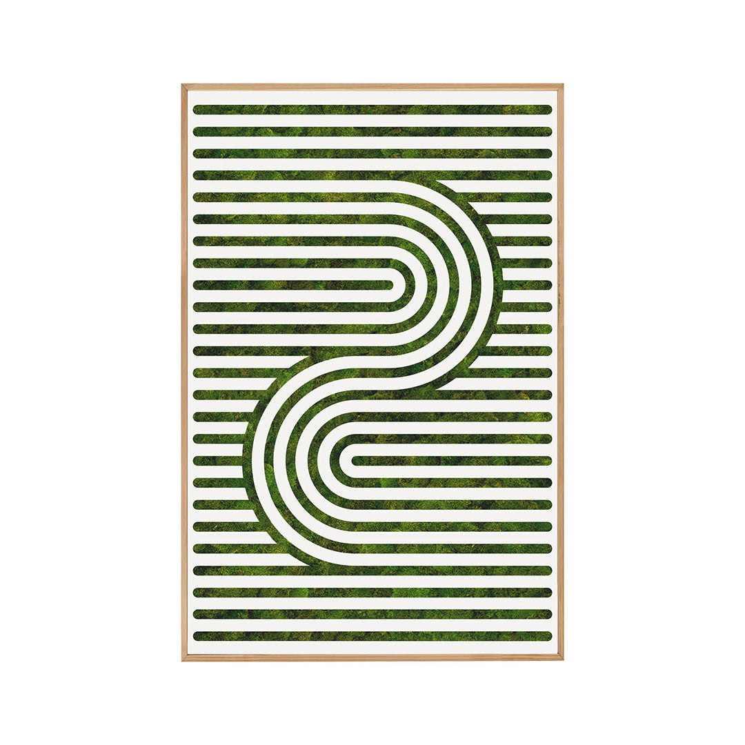 Moss Art - Optical Series No. 005 (6'x 4')