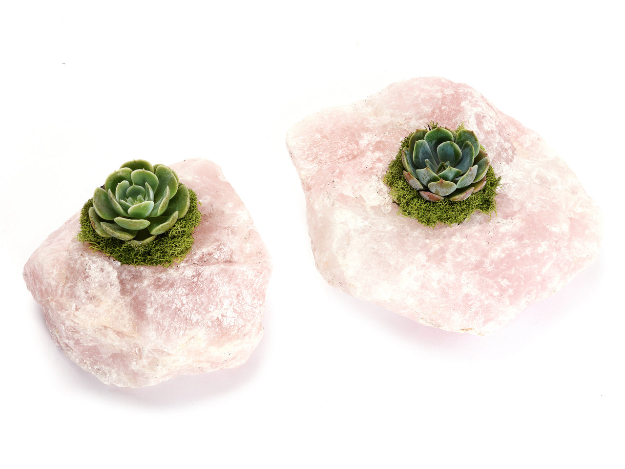 Rose Quartz with Succulent (5" H x 5" W)
