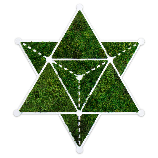 Moss Sacred Geometry - Star Tetrahedron (30" H x 30" W)