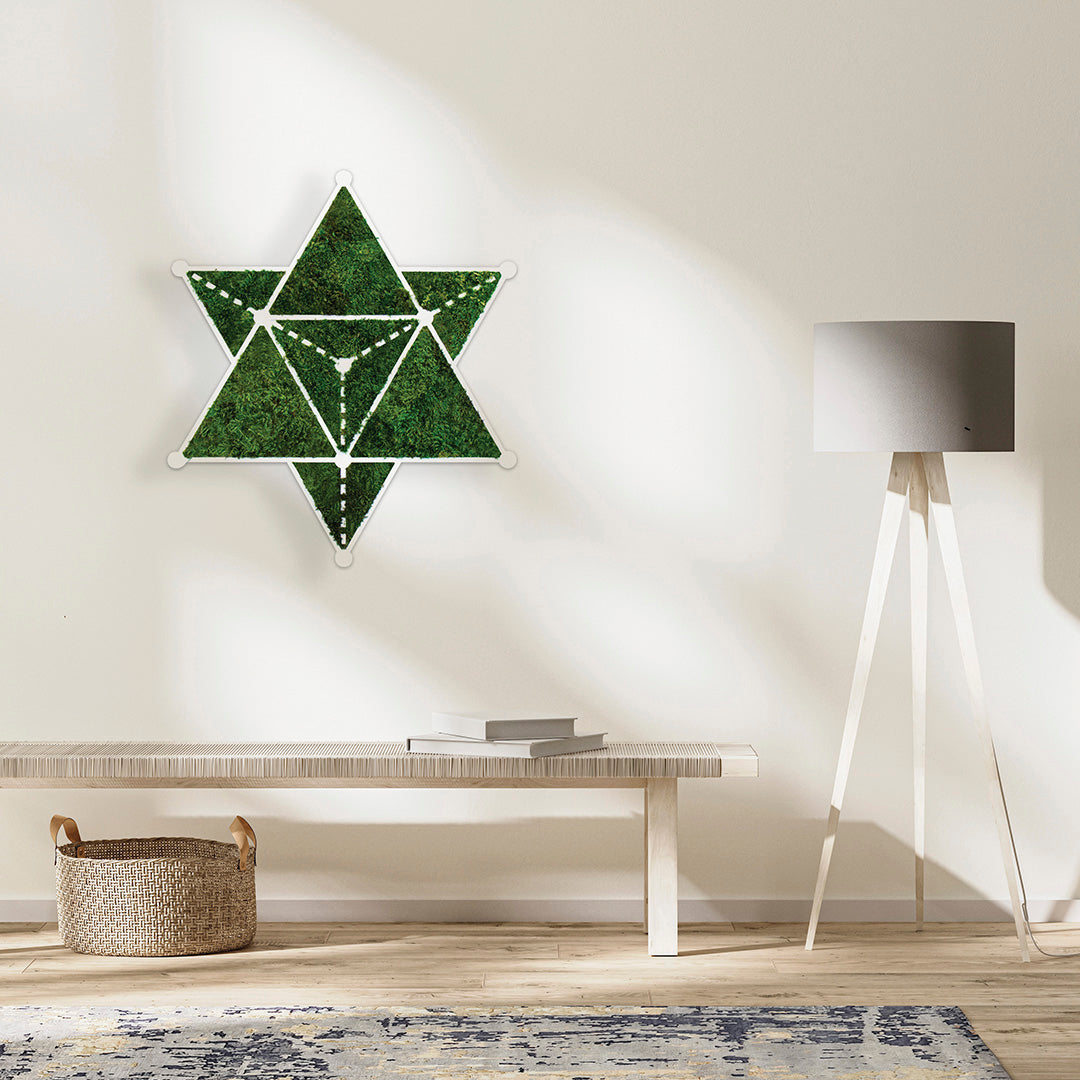 Moss Sacred Geometry - Star Tetrahedron (30" H x 30" W)
