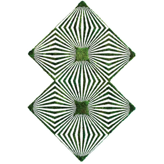 Optical Moss Art - Duality 2 (6’x 4’)