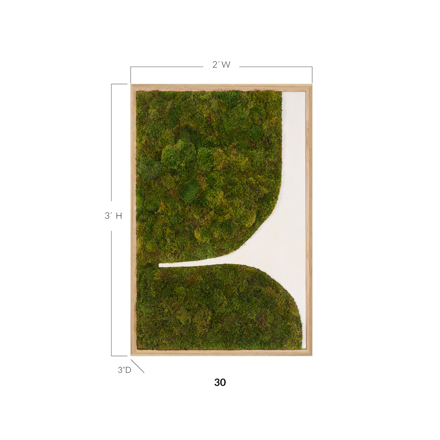 Moss Art - Abstract Series No. 039 (3' x 2')