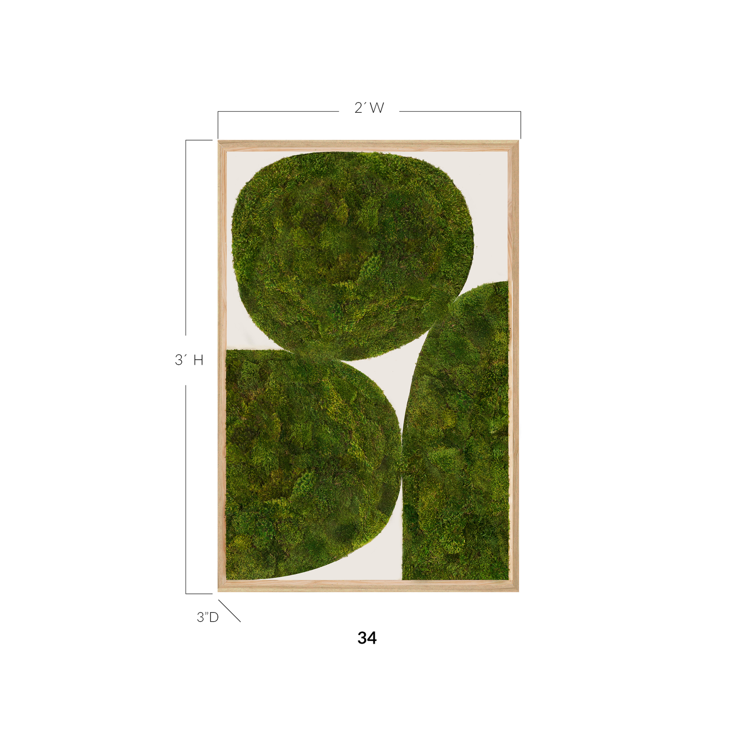 Moss Art - Abstract Series No. 043 (3' x 2')