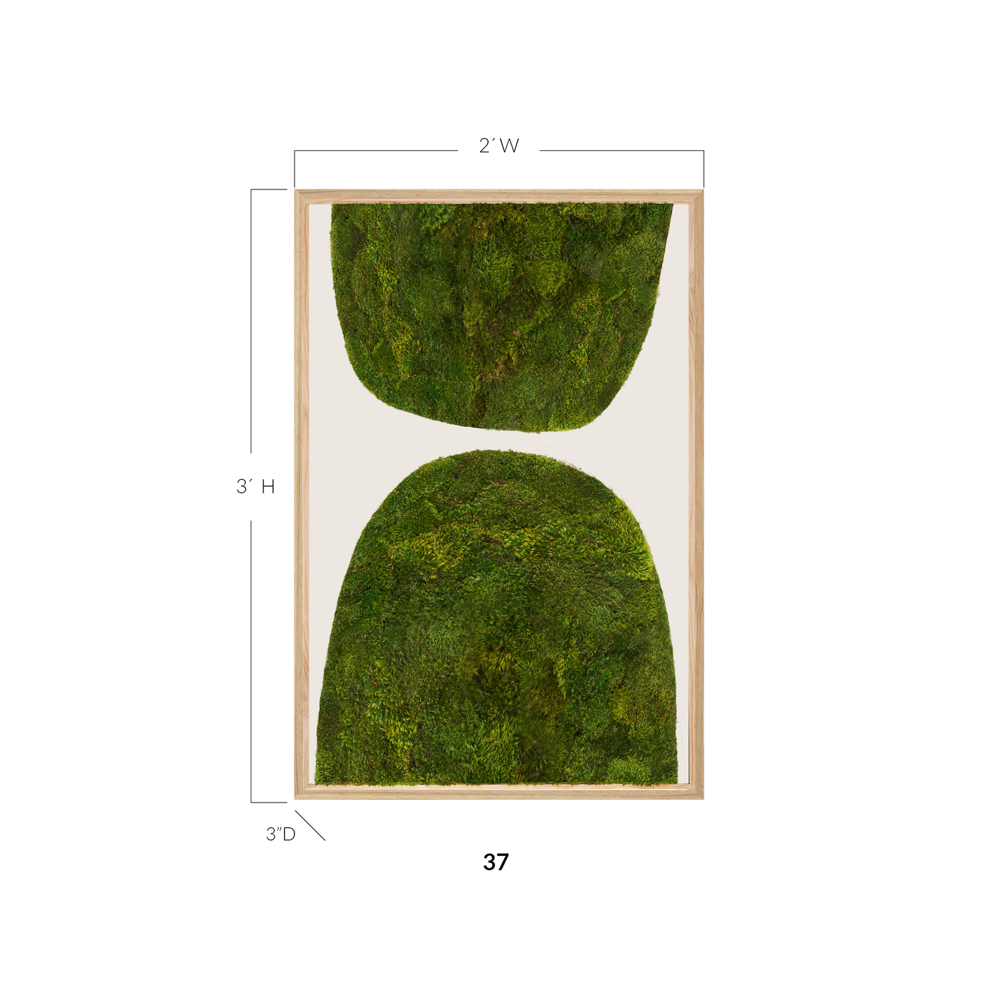 Moss Art - Abstract Series No. 046 (3' x 2')