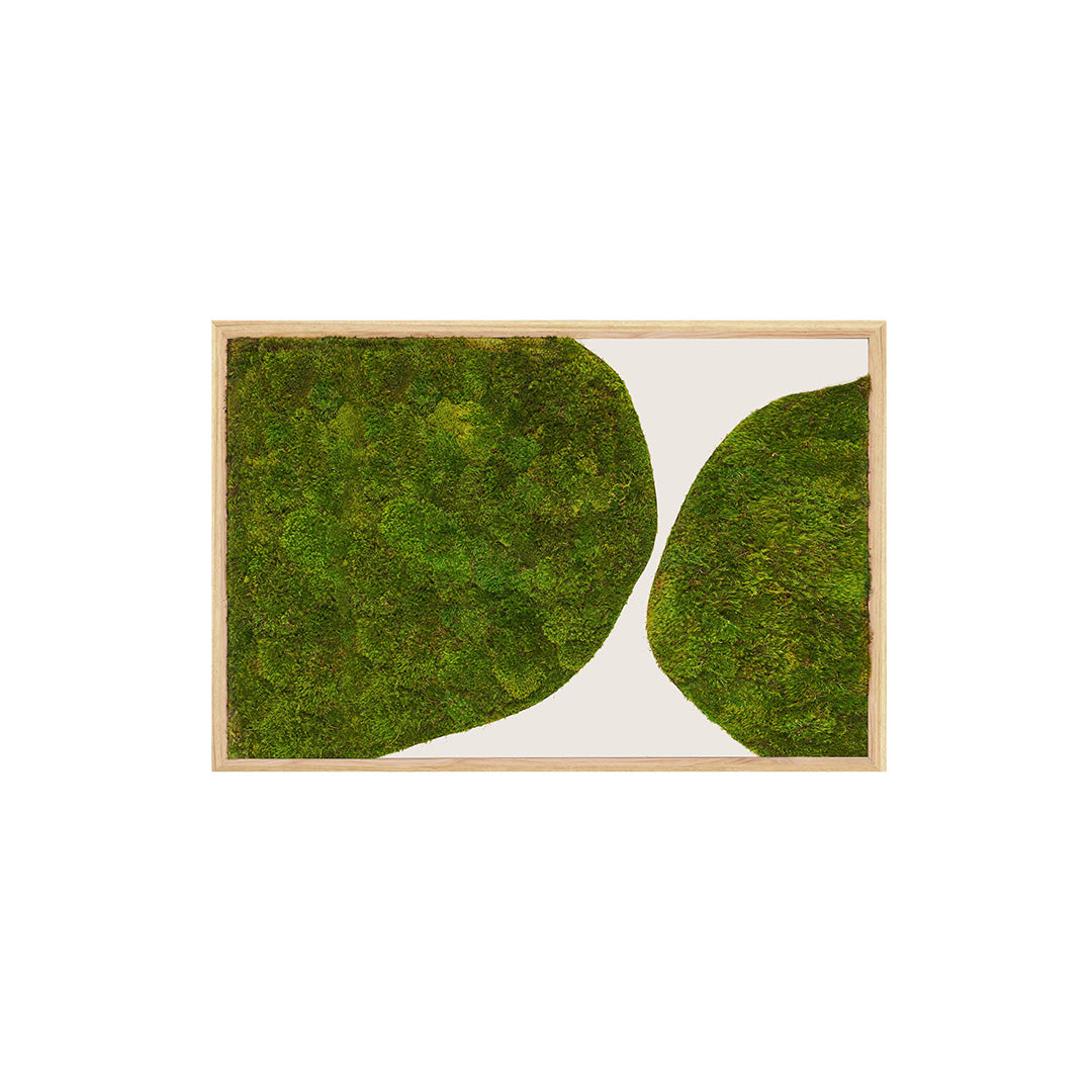 Moss Art - Abstract Series No. 048 (3' x 2')