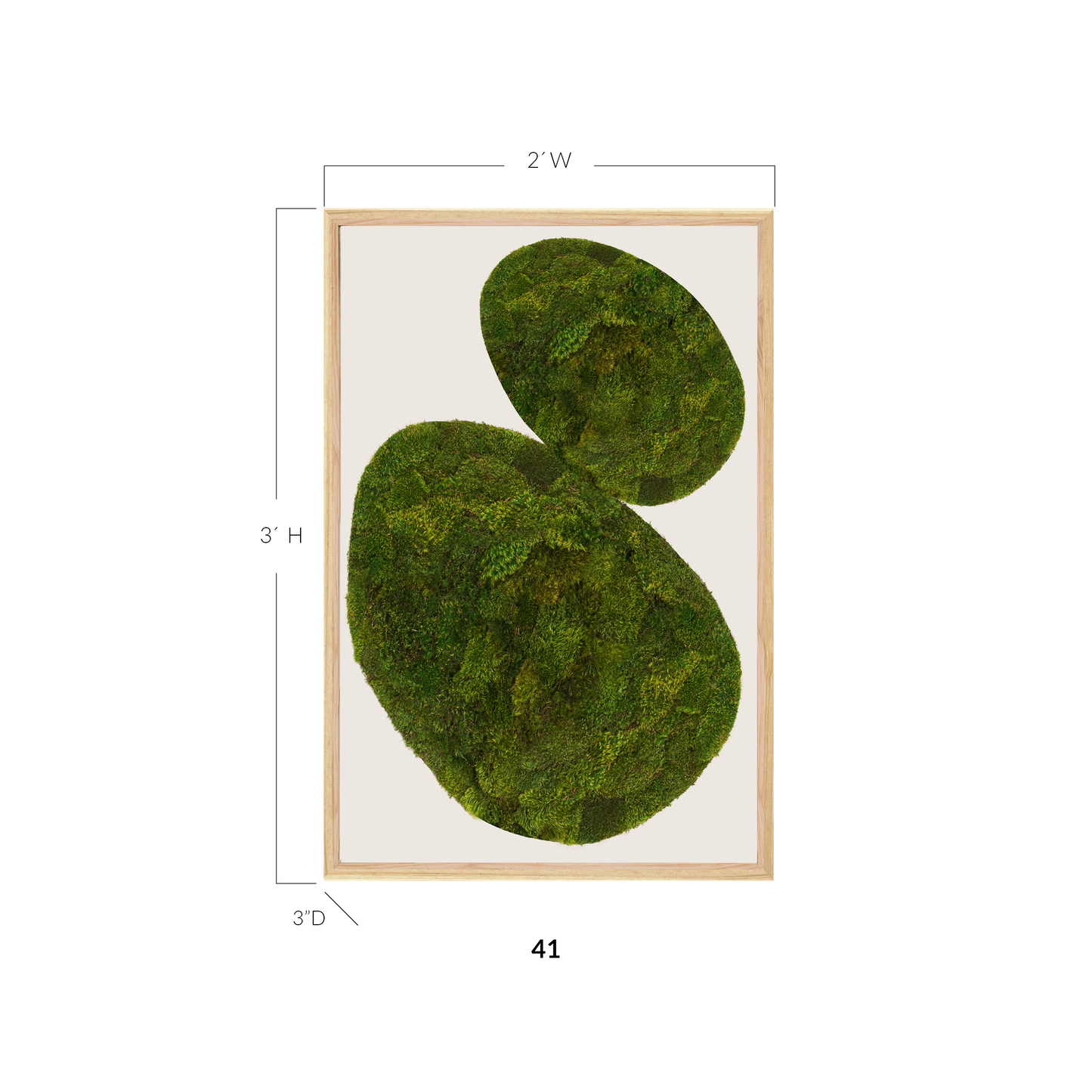 Moss Art - Abstract Series No. 050 (3' x 2')