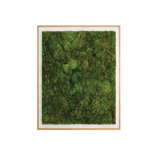 Moss Art - Solid Moss Series (5' x 4')