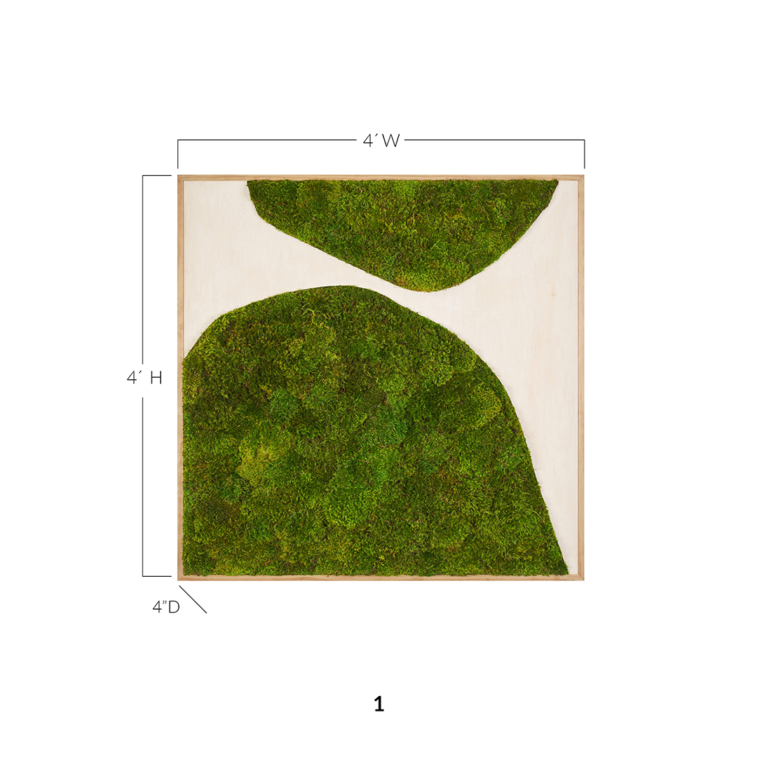 Moss Art - Abstract Series No. 028 (4' x 4')