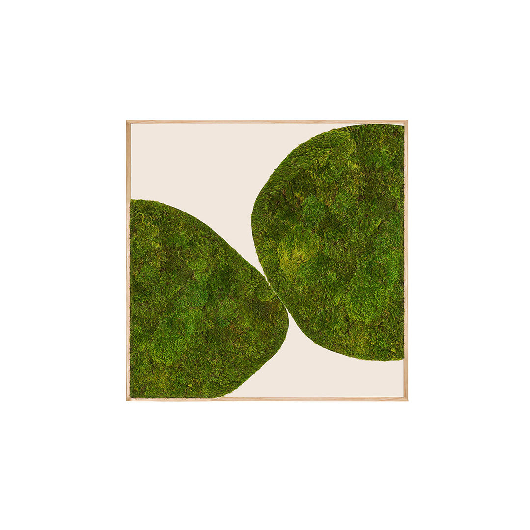 Moss Art - Abstract Series No. 031 (4' x 4') 