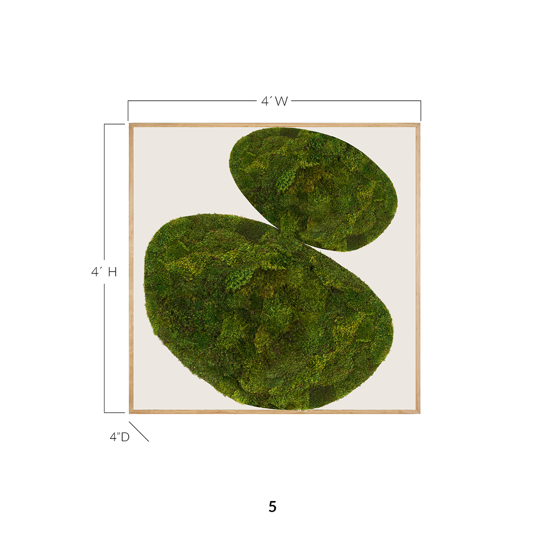 Moss Art - Abstract Series No. 032 (4' x 4')