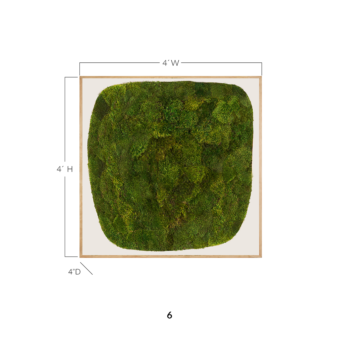 Moss Art - Abstract Series No. 033 (4' x 4') 