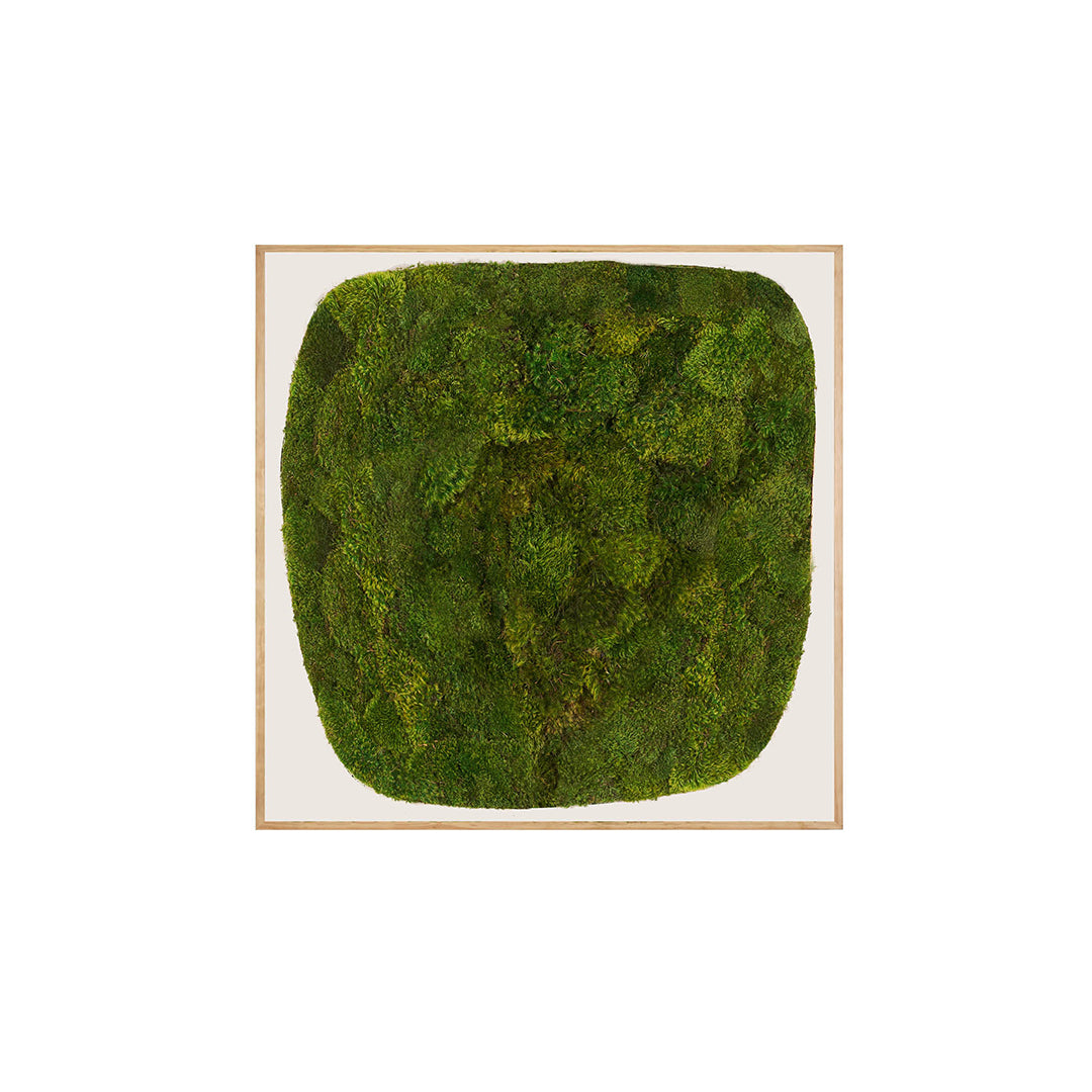 Moss Art - Abstract Series No. 033 (4' x 4')