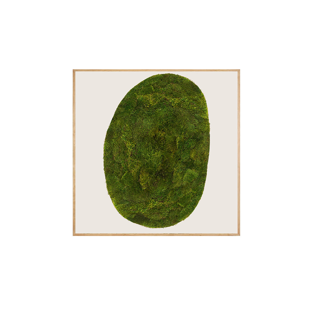 Moss Art - Abstract Series No. 035 (4' x 4')