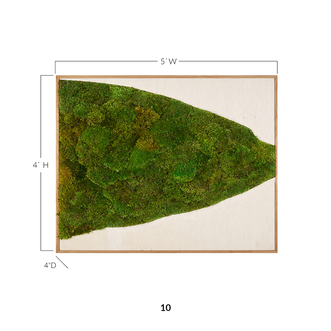 Moss Art - Abstract Series No. 036 (5' x 4')