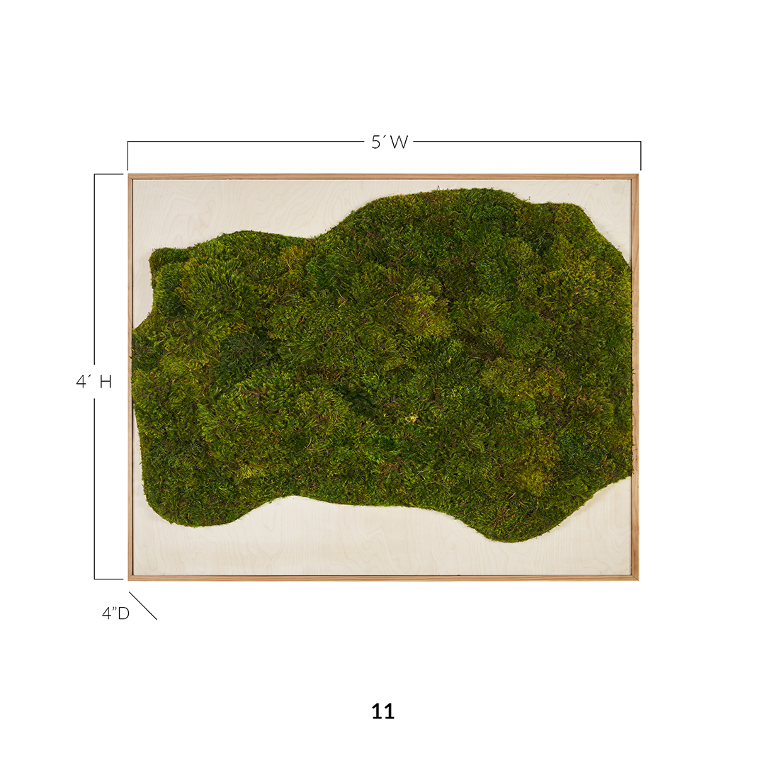 Moss Art - Abstract Series No. 037 (5' x 4')