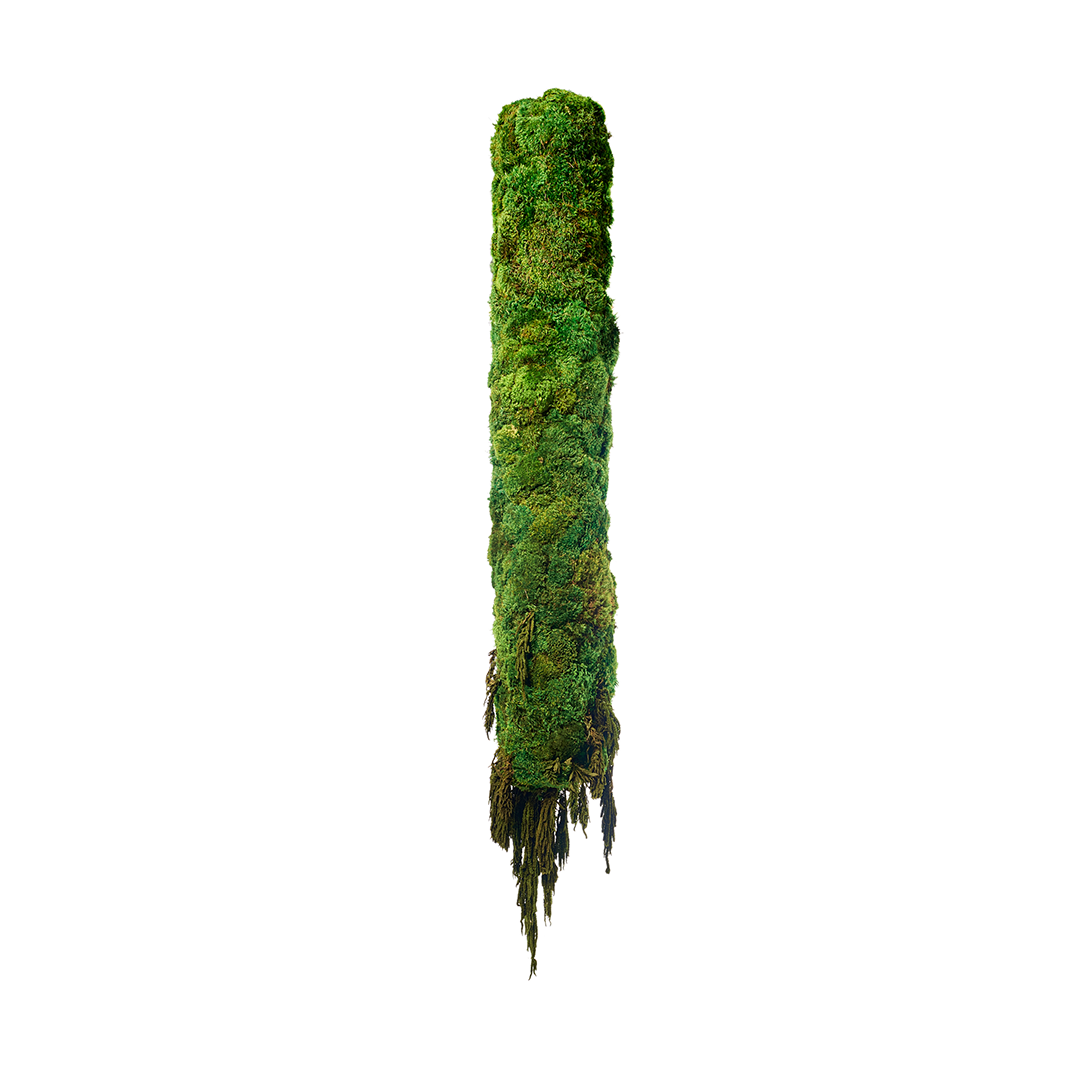 Hanging Moss Cylinder with Amaranthus
