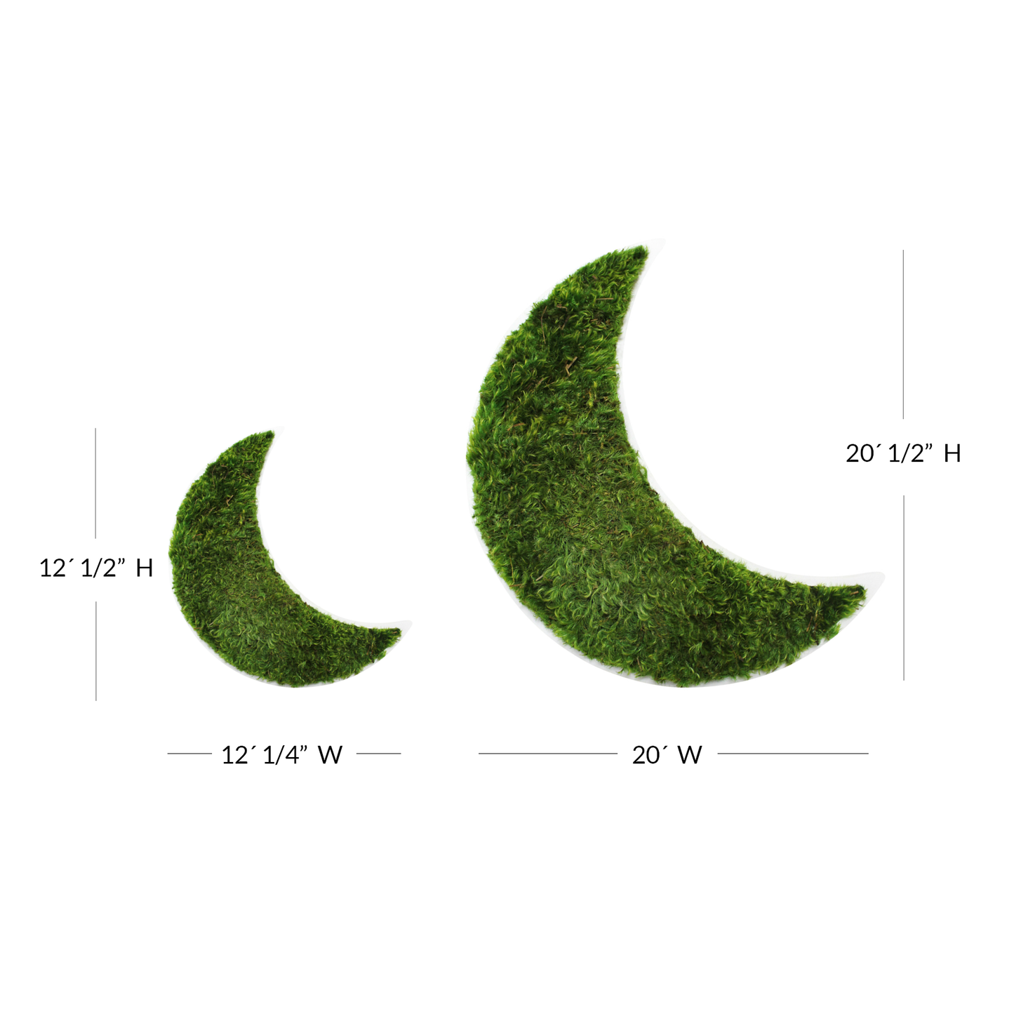 Crescent Moon - Moss Wall Decor
