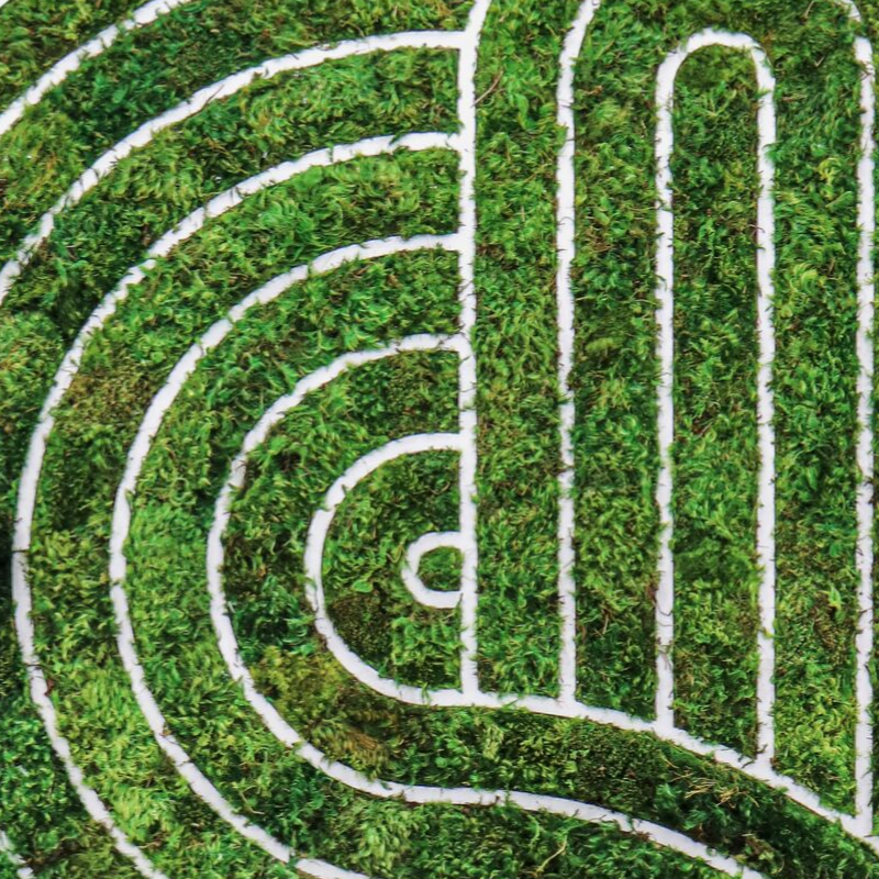 Optical Moss Art - Supreme (6’ x 3’ 8”)