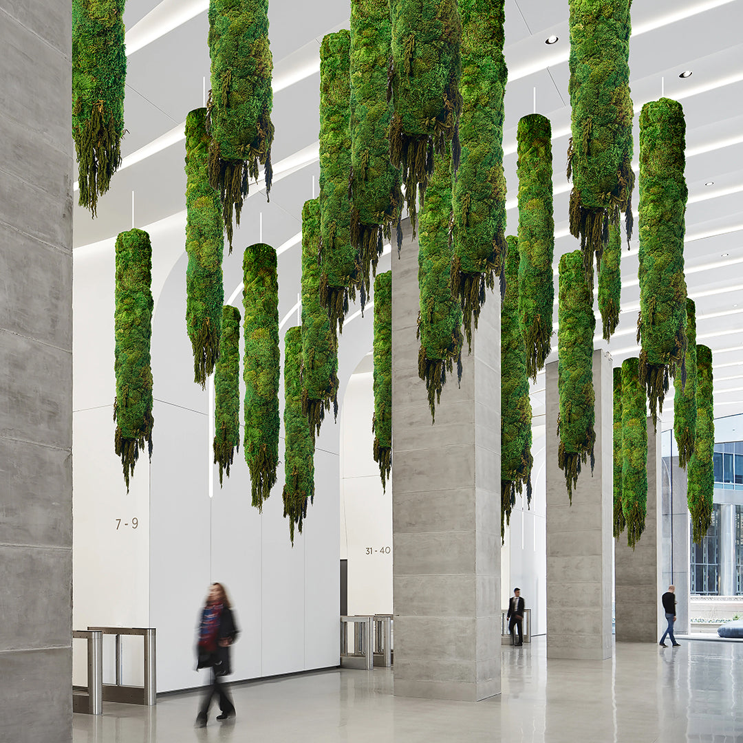 Hanging Moss Cylinder with Amaranthus