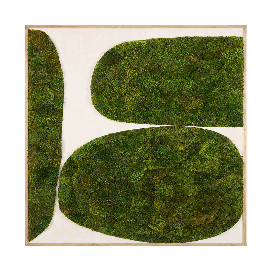 Moss Art - Abstract Series No. 003 (8' x 8')