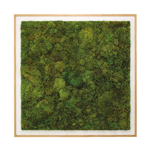 Moss Art - Solid Series (8' x 8')